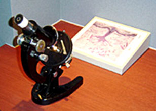 현미경으로 물체를 확인하는 모습